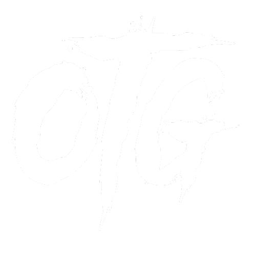 GØTTI Logo